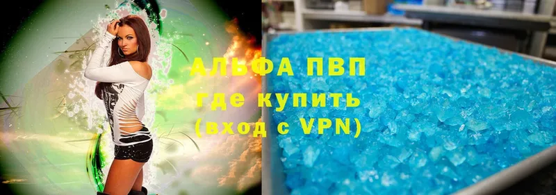 A PVP СК  Лесной 